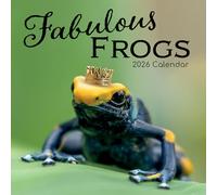 TGSC | Fabulous Frogs 2026 Calendar 16 Month Family Square Wall 2026 UK | Planner with Large Grid for Home or Office Organisation - Humour 2026 Funny UK