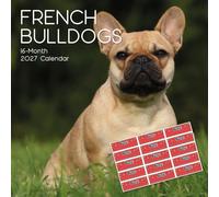 TGSC | French Bulldogs 2027 Calendar with Stickers | Home & Office Planner | 16-Month Square Wall Calendar | Month to View | Marked UK Holidays | Spacious Grid for Notes | High Quality Print | 30x30 cm