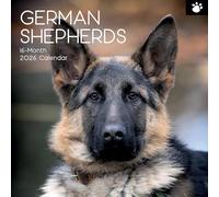 TGSC | German Shepherds 2026 Calendar 16 Month (Sept 2025-Dec 2026) Family Square Wall 2026 UK | Planner with Large Grid for Home or Office Organisation - Dogs 2026/2025 UK