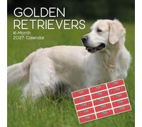 TGSC | Golden Retrievers 2027 Calendar with Stickers | Home Planner | 16-Month Square Wall Calendar | Month to View | Marked UK Holidays | Spacious Grid for Notes | High Quality Print | 30x30 cm