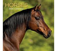 TGSC | Horses 2026 Calendar 16 Month (Sept 2025-Dec 2026) Family Square Wall Calendar 2026 UK | Planner with Large Grid for Home or Office Organisation - Animals 2026/2025 Calendar UK