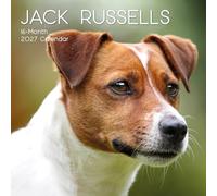 TGSC | Jack Russells 2026-2027 Calendar, 16-Month Square Wall Calendar (Sept 2026 - Dec 2027), UK Planner with Jack Russells, For Dog Lovers, Home Decor, Office Organiser | 30 x 30 cm