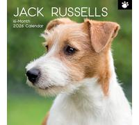 TGSC | Jack Russells 2026 Calendar 16 Month (Sept 2025-Dec 2026) Family Square Wall Calendar 2026 UK | Planner with Large Grid for Home or Office Organisation - Dogs 2026/2025 Calendar UK