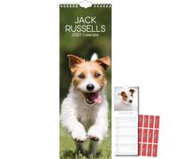 TGSC | Jack Russells 2027 Slimline Calendar with Planning Stickers, (Jan-Dec 2027) Planner with UK Holidays, For Home, Office, Kitchen Organisation, 42 x 15 cm