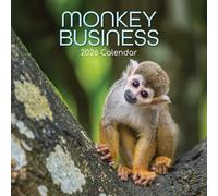 TGSC | Monkey Business 2026 Calendar 16 Month (Sep 2025-Dec 2026) Family Square Wall Calendar 2026 UK | Planner with Large Grid for Home or Office Organisation - Animals 2026/2025 UK
