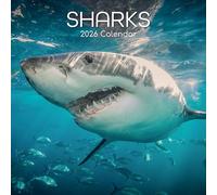 TGSC | Sharks 2026 Calendar 16 Month (Sept 2025-Dec 2026) Family Square Wall 2026 UK | Planner with Large Grid for Home or Office Organisation - Animals 2026/2025 UK
