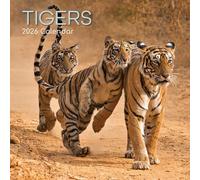 TGSC | Tigers 2026 Calendar 16 Month (Sept 2025-Dec 2026) Family Square Wall Calendar 2026 UK | Planner with Large Grid for Home or Office Organisation - Animals 2026/2025 Calendar UK