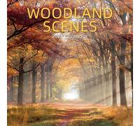 TGSC | Woodland Scenes 2026 Calendar 16 Month Family Square Wall 2026 UK | Planner with Large Grid for Home or Office Organisation - Natural World 2026/2025 UK