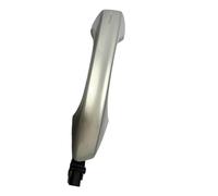 TGUQANM Door Handle Pull Compatible with Skoda for Scala for Kamiq for Fabia for KESSY Door Handle Cable Keyless Entry 5G0837205 5GG837205 5GG837206 5G0837206(Champagne Silver,Right)
