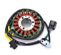 TGUQANM Motorcycle stator coil Compatible With Suzuki For DRZ400E 2000-2007 For DRZ400SM 2000-2012 32101-13E02 Motorcycle Magneto Engine Generator Stator Coil Accessories