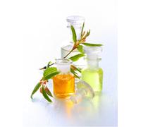 Thai-Asia-Kosmetik Lomi-Lomi Oil Blend 100 ml Organic Quality Massage Oil Pure Plant-Based Neutral Professional Quality