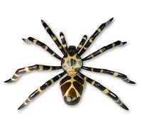Thai Gifts Wooden Spider Carving, 60cm - Large Hanging Wall Art - Hand-Carved Decorative Statue - Easy to Assemble - Handmade Sculpture for Spider Lovers & Collectors - Halloween Inspired Home Decor