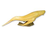 Thai Gifts Wooden Whale Carving - Hand Carved Humpback Whale 50cm