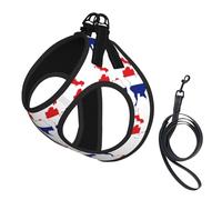 Thailand Flag Map print Dog Harness and Leash Set, Reflective Adjustable Puppy Vest for Small Medium Large Dogs, Cats