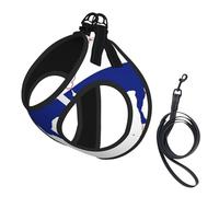 Thailand Flag Map Print Small Dog Harness And Leash Set, Adjustable Soft Vest With 360° Reflective Straps For Cats Puppy