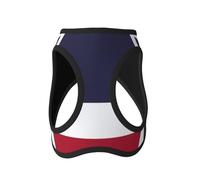 Thailand Flag Print Dog Harness with Leash Set with Thickened Padded Vest for Extra-Small/Small Medium Dogs