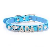 THAIN Personalised Bling Dog Collars with Name,Custom DIY Rhinestone Charm Dog Cat Collar for Small Medium and Large Dogs (XS(neck 7.9"-10.2"), Blue)