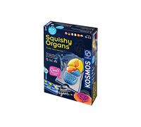 Squichy Organs Fun Science junior craft set