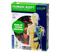 Thames & Kosmos | 260830 | Human Body Anatomy Model | 37 Parts with Stand and Guide Book | Build Your Own Human Body | Nature Discovery Range | Ages 8+, Multicolor