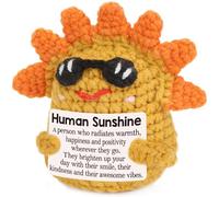 Thank You Appreciation Gifts for Women Birthday, Inspirational Back to School Crochet for Teacher, Motivational Retirement Decorations for Friend Coworkers Nurse Doctor Boss, Human Sunshine Decor