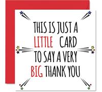 Thank You Card - Little Card Big Thank You - Thankyou Cards for All Occasions Her or Him, Appreciation Card, 145mm So Much Greeting Cards for Gifts