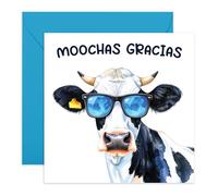 Thank You Card - Moochas Gracias Cow with Sunglasses - Humorous Appreciation Card for Friends, Mum, Dad, Neighbour, Colleagues, Teachers, Him, Her - Comes with Fun Stickers