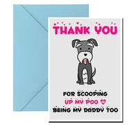 Thank You for Bagging Up My Poo: Father's Day Gratitude Card (A5 Size)
