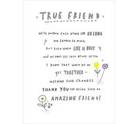 Thank You For Being An Amazing Friend Greeting Card Blank Inside Any Occasion 661022