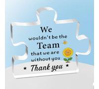 Thank You Gift, Acrylic Puzzle Appreciation Plaque with "We Wouldn't Be the Team That We Are Without You", Thank You Plaque for Colleagues Boss, Thank You Gifts for Office, Team Appreciation Gifts