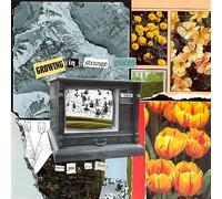 THANK YOU, I'M SORRY - GROWING IN STRANGE PLACES [VINYL]