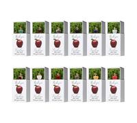 Thank You Teacher Keepsake - Fruit Shaped Stocking Filler with Box, Apple Gift Set, Emotional Support Decoration | Teacher Gift for Students, Kids, Girls, School, Classroom