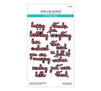 Spellbinders Thanks Enclosed Sentiments Etched Dies from The Four Petal Collection, Metal, ONE
