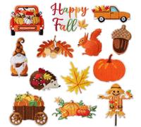 Thanksgiving Day Iron on Patches, 13PCS Autumn Harvest Cartoon Embroidered Patches with Cute Pumpkin Maple Leaf Squirrel Scarecrow Warm Fall Tone Appliques for Thanksgiving Decor & Autumn DIY Crafts
