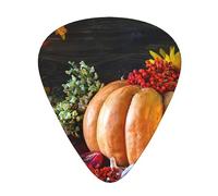 Thanksgiving Day Pumpkin Guitar Picks with Organizer Storage Box Guitar Plectrums 12PCS 3 Thickness Thin Medium Heavy 0.46 0.71 0.96mm Guitar Picks For Acoustic Electric or Bass Guitars