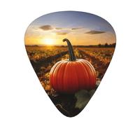 Thanksgiving Day Punmpkin Print Guitar Pick,12 Pack,Includes Thin,Medium,Heavy Gauges,Suitable for guitar,ukulele