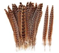 THARAHT 24pcs Female Ringneck Pheasant Tails Feathers Natural Feathers 6-8inch 15-20cm for Crafts Home Wedding Party Performance DIY Decoration Female Pheasant Feathers