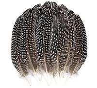 THARAHT 24pcs Natural Spotted Feathers Guinea Fowl Wing Feathers 6-8 inch Bulk for Craft Clothing Jewelry DIY Decoration