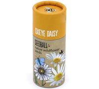 That's Crackers! Oxeye Daisy | Luxury Tube of 20 Seedballs | Cracker Filler | Little Gift