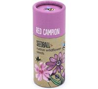 That's Crackers! Red Campion | Luxury Tube of 20 Seedballs | Cracker Filler | Little Gift