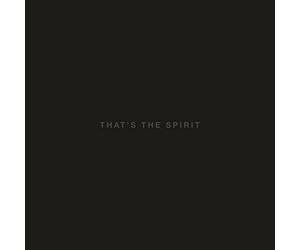 That's the Spirit - Bring Me The Horizon CD-JEWEL CASE