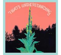 That's Understanding