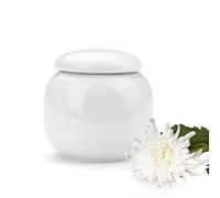 Thatyro Porcelain Small Urn for Ashes Keepsake, 2.5 In Mini Pet Cremation Urns, Decorative Pet Memorial Ashes Container Tribute for Cats Dogs Your Loved Animal Lost (White)