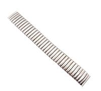 THBGTCNQ Stainless Steel Band 12mm 14mm 16mm 18mm 20mm 22mm Elastic Strap Metal Watchbands Replacement Wristband Universal Bracelet(Silver,20mm)