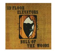 The 13th Floor Elevators - Bull Of The Woods (2CD)