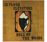 The 13th Floor Elevators – Bull Of The Woods – 2CD – Charly