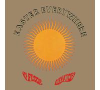 The 13th Floor Elevators - Easter Everywhere (Half Speed Remaster) - Vinyl / ...