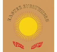 The 13th Floor Elevators - Easter Everywhere (Limited Edition Psychedelic Color 2LP) [VINYL]
