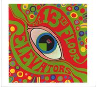 The 13th Floor Elevators - The Psychedelic Sounds Of…