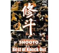 修斗 THE 20th ANNIVERSARY Best of Knock Out [DVD]