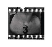 The 3rd and the Mortal - The 3rd And The Mortal